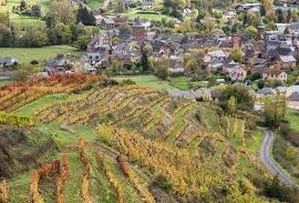 Rando mystère 2025: Clairvaux d’Aveyron:1ère étape