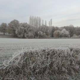 Tableau des Activités pour Janvier 2026