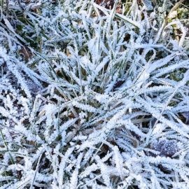 Tableau des Activités pour Décembre 2025