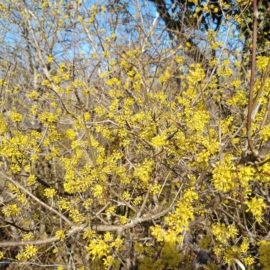 Tableau des Activités pour Avril 2026